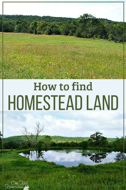 Tips on how to find homestead land.