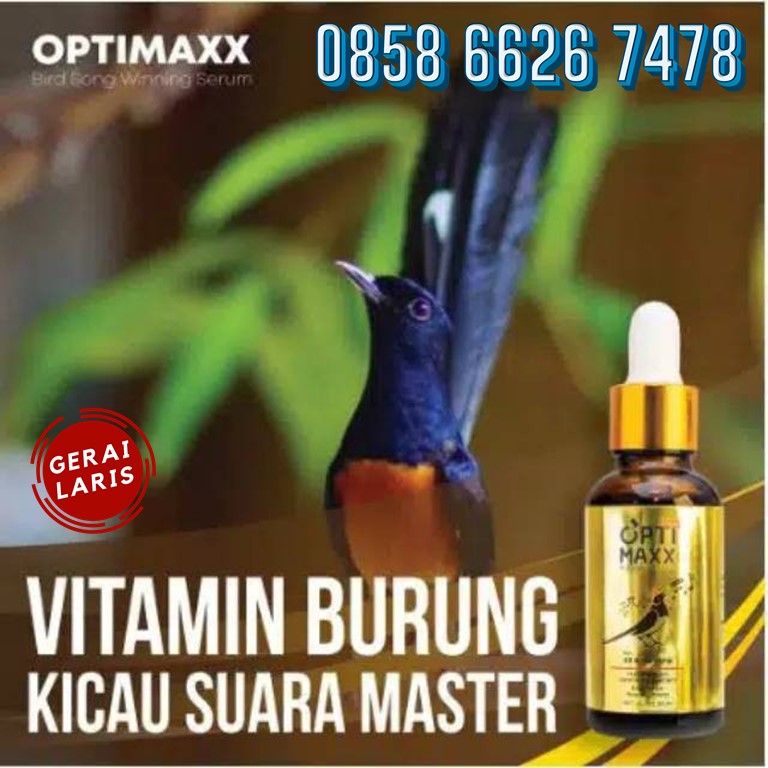 optimaxx vitamin burung paling laris