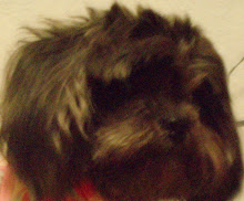 Tobey