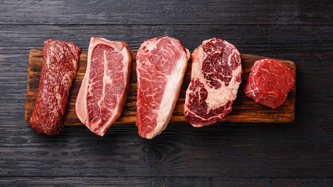 Exploring the Impact of a Week-Long Meat-Only Diet on the Body