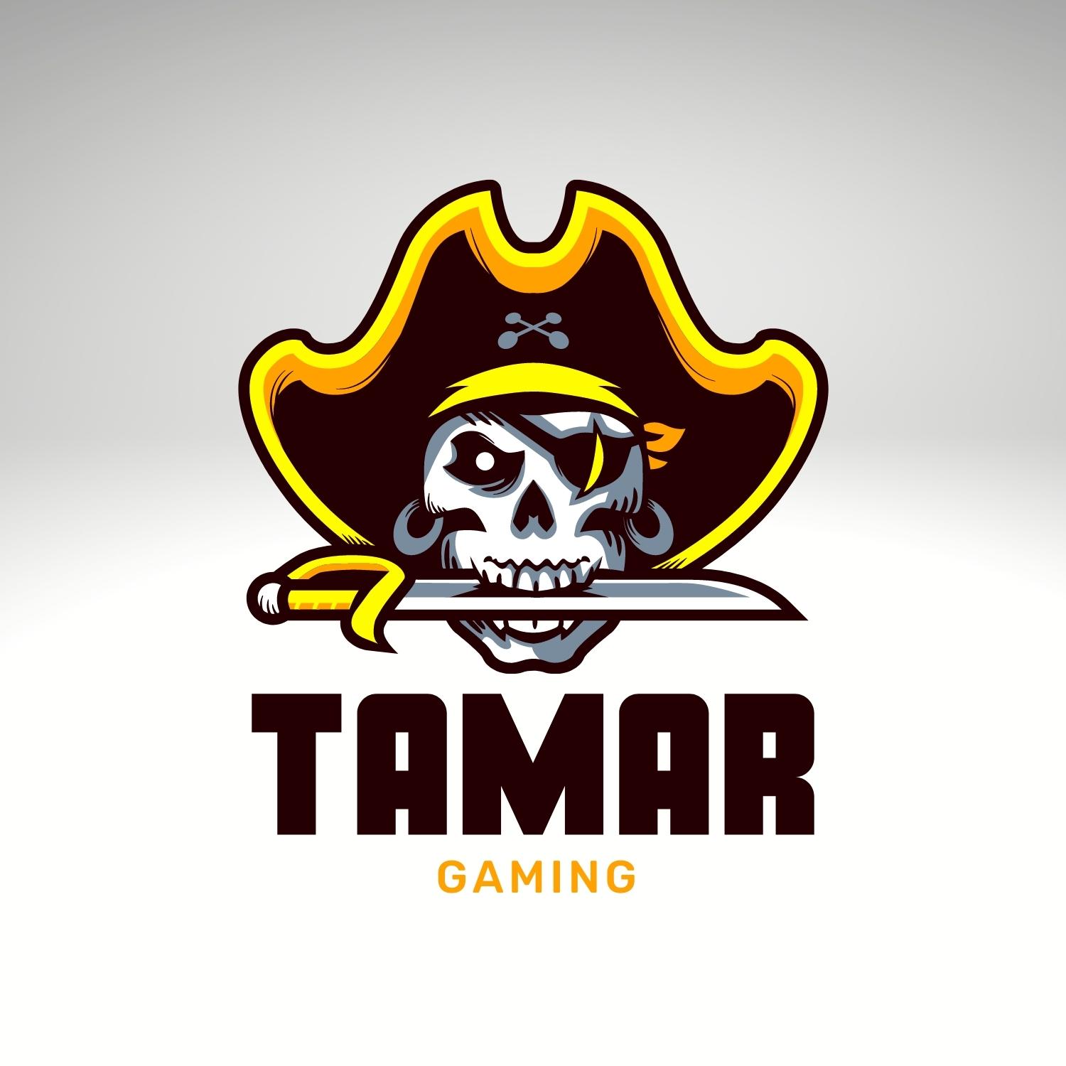 Sea pirates gaming logo