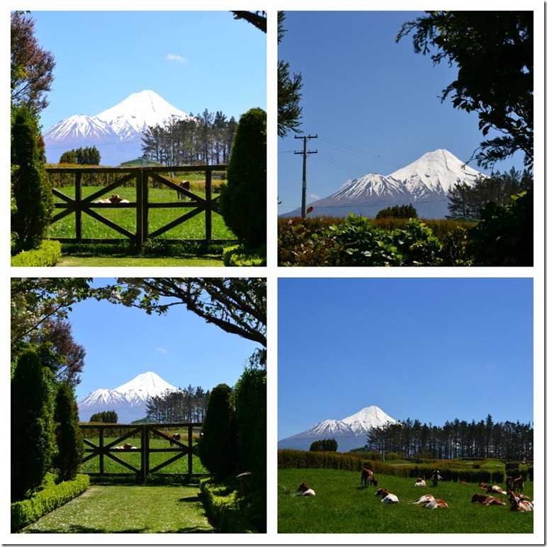 PicMonkey Collage2