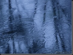 Rain begins