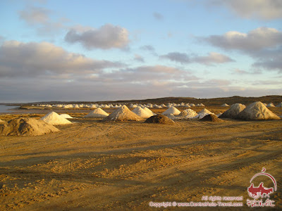 Along the way of ancient caravans on the Great Silk Road (Kyrgyzstan - Uzbekistan section)