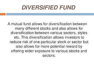 Diversified Fund 