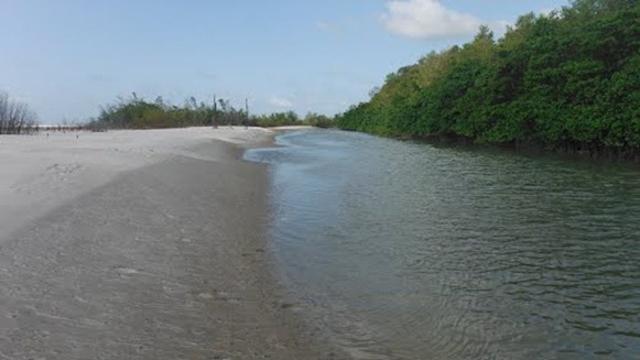 PRaia de Sacaiteua - Marapanim, foto: sandromarco/Panoramio