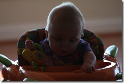 2012_02_15_6594