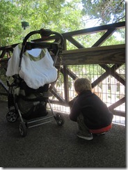 IMG_5721 IMG_5721