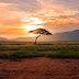Most Affordable African Countries To Live In