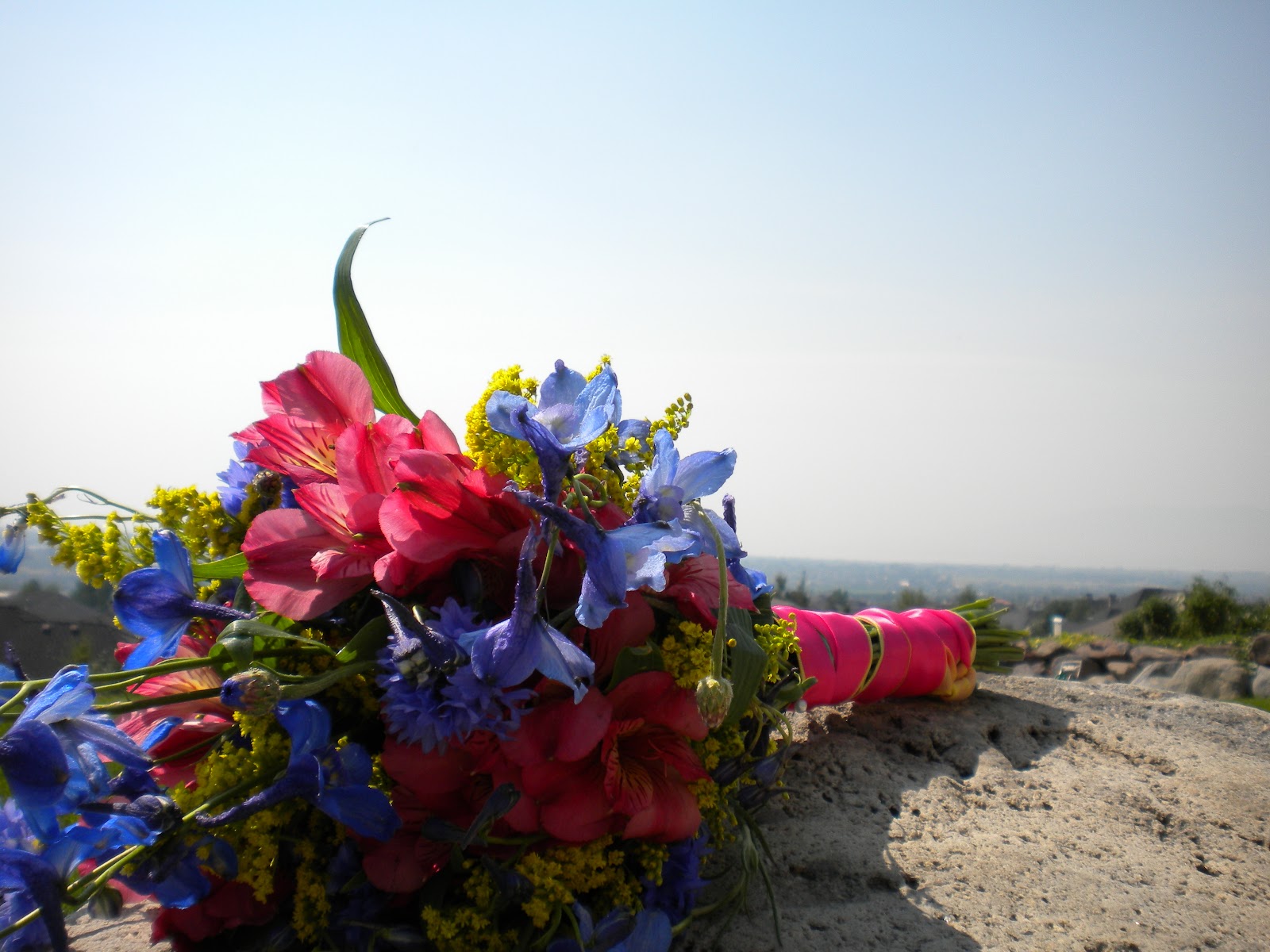 Blue Pink Wedding