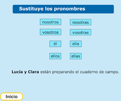 http://www.primerodecarlos.com/TERCERO_PRIMARIA/febrero/Unidad8/lengua/actividades/pronombre/indice.swf