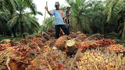 Pemasukan tak Sebanding Pengeluaran