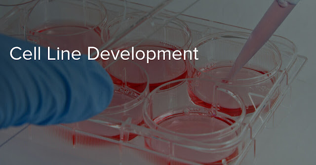 Cell Line Development Market