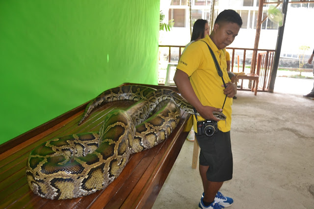 Located inwards Barangay Irawan inwards Puerto Princesa City inwards Palawan thingstodoinsingapore: Palawan: Palawan Wildlife Rescue in addition to Conservation Center