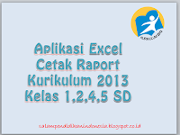 Aplikasi Excel Cetak Raport Kurikulum 2013 Kelas 1,2,4,5 SD 