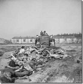606px-Bergen_Belsen_Liberation_03