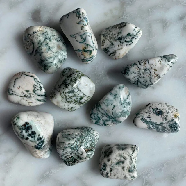 Tree agate