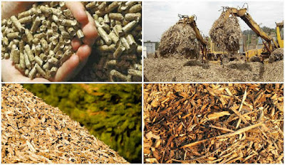 Biomassa merupakan energi alternatif