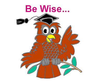 Be Wise