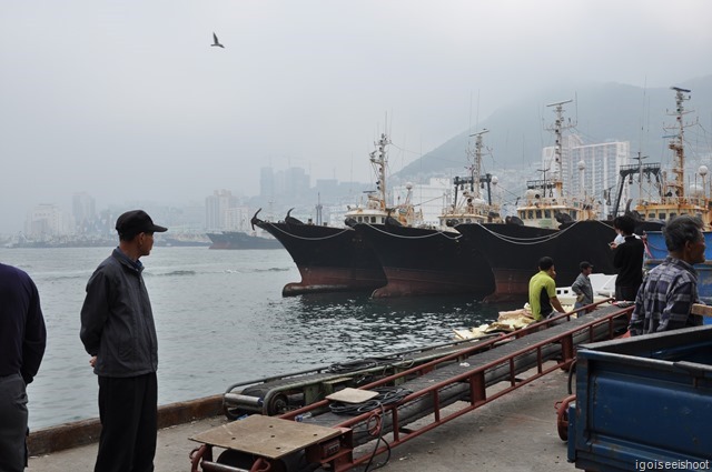 Jagalchi Fish Market in Busan