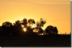 sunset griffith