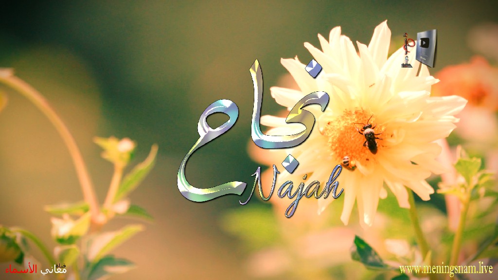 معنى اسم نجاح, وصفات, حامل, وحاملة, هذا الاسم, Najah,