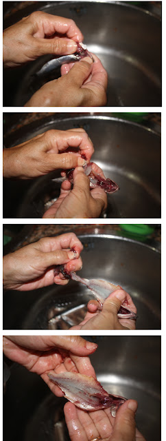 RECETA DE BOQUERONES EN VINAGRE, AL ESTILO GADITANO, duros y blancos Alocados en la cocina