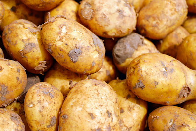 potato vegetable. carbohydrate. useful vegetable