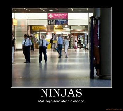 Funny Ninja posters-Ninja demotivators