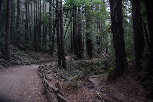 Redwood Creek not flowing