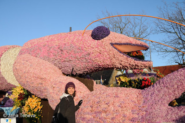 Bloemencorso 2013 Holland