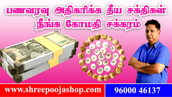 How to Use Gomati Chakr for Wealth - Shree Pooja Shop - Perambur Kumar