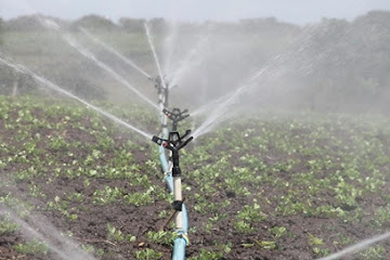 Sprinkler & Drip Irrigation I Applicability, Advantages & Disadvantages