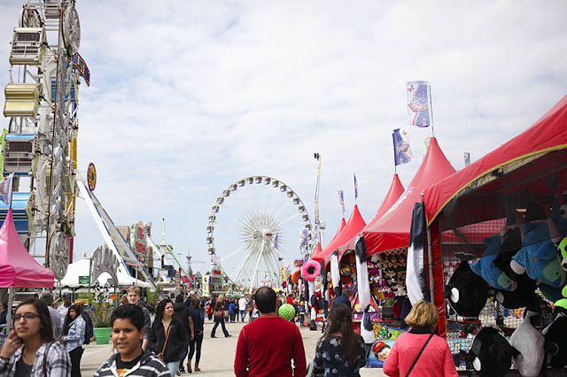 More rides than you can count at the Houston Rodeo Carnival 