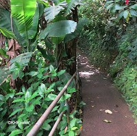 Wahi'awa Botanical Garden, Oahu, Hawaii