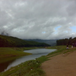 View album
