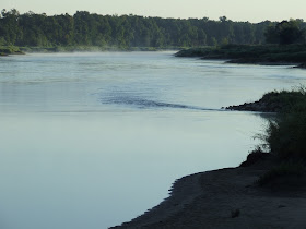 Fishing for asp in Poland
