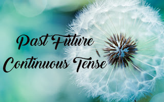 Materi, Rumus, dan Contoh Kalimat Past Future Continuous Tense