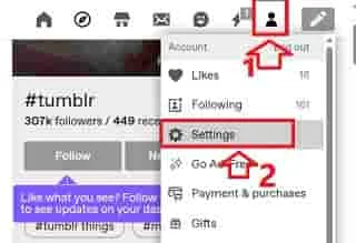 Tumblr Settings.