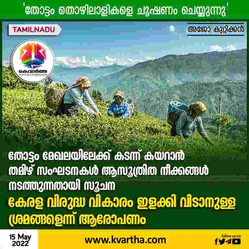 Idukki, Kerala, News, Tamilnadu, Farmers, Tamil, Mullaperiyar, Mullaperiyar Dam, Munnar, Tamil organizations are making moves to enter the plantation sector.