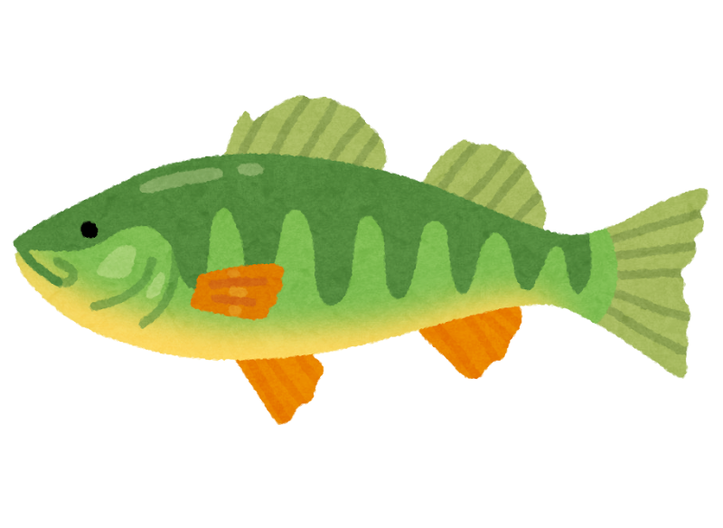 パーチのイラスト 魚 かわいいフリー素材集 いらすとや