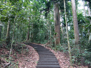 Pinoy Solo Hiker - Makiling Botanical Garden