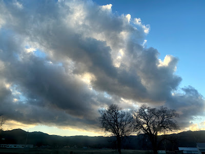 Two trees and a big cloud in the sky