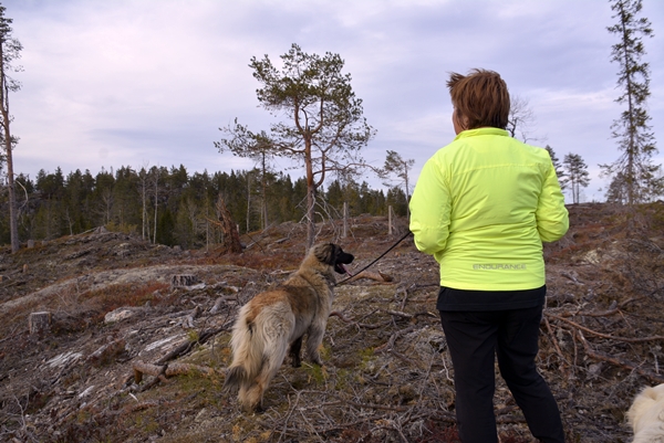 Tuftinåsen Jonskollen