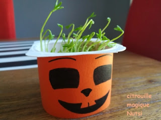 diy halloween enfants citrouille magique