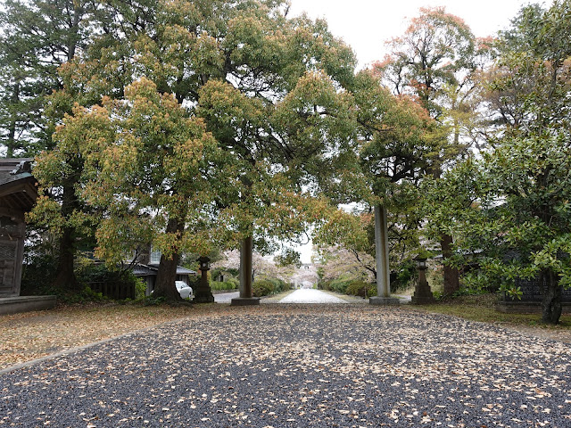 鳥取県西伯郡大山町名和　名和神社　参道