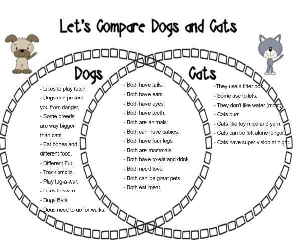 compare and contrast essay on cats and dogs