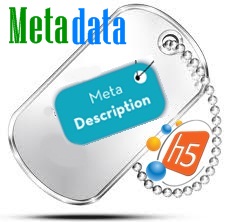 meta tag seo