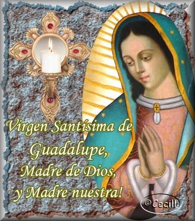 100 imágenes de la Santísima Virgen de Guadalupe 
