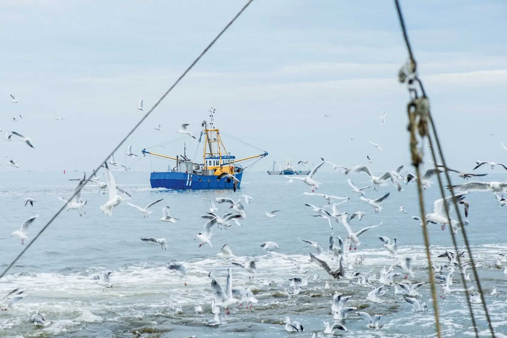 Pesca a propulsione elettrica nell’Adriatico: al via il progetto 3EFishing
